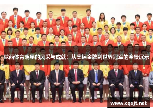 陕西体育明星的风采与成就：从奥运金牌到世界冠军的全景展示